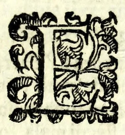 An illustration from Lelio bandito : tragicomedia boschereccia, 1620, leaf 31