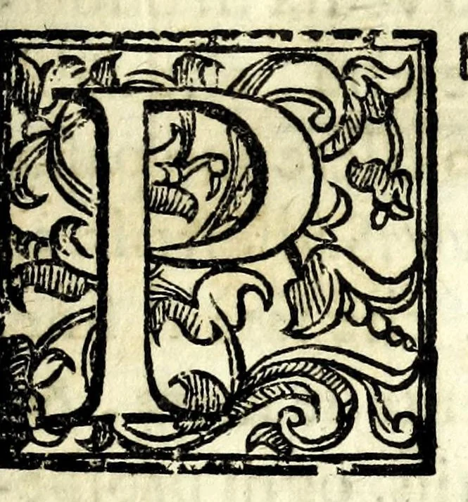 An illustration from Lelio bandito : tragicomedia boschereccia, 1620, leaf 9