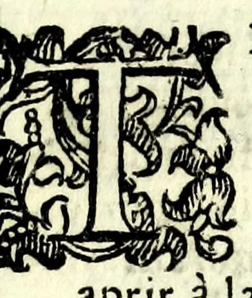 An illustration from Lelio bandito : tragicomedia boschereccia, 1620, leaf 95