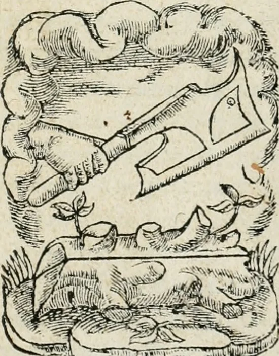 An illustration from Le livre des presaiges dv divin Hyppocrates, diuisé en troys parties. Item: La protestation, que le dict Hyppocrates faisoit faire à ses disciples, 1542, leaf 6