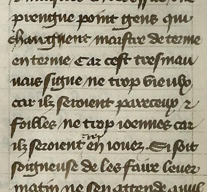 An illustration from Le livre des trois vertus, leaf 142
