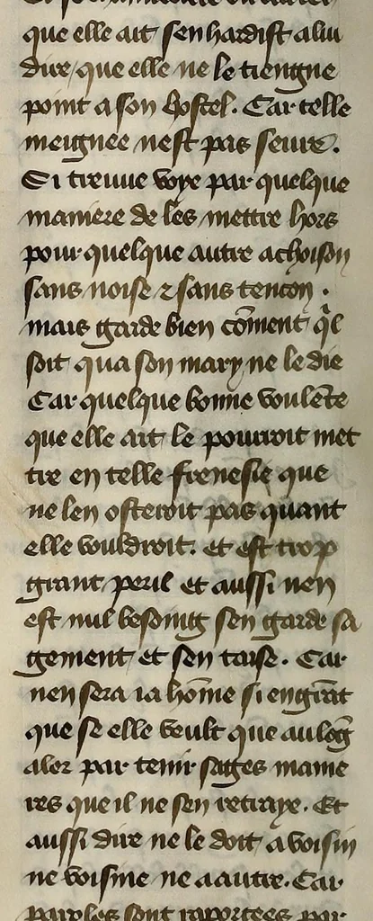 An illustration from Le livre des trois vertus, leaf 166