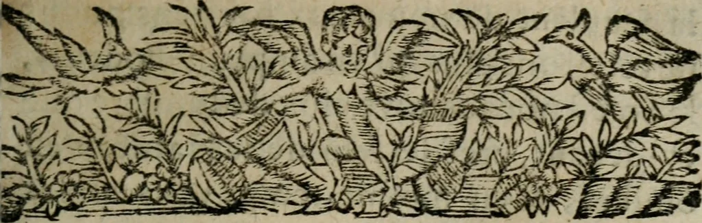 An illustration from Le lycée du Sr. Bardin : ou en plusieurs promenades il est traité des connoissances, des actions, & des plaisirs d'un honneste homme ; tome I, Des connoissances, 1641, leaf 26