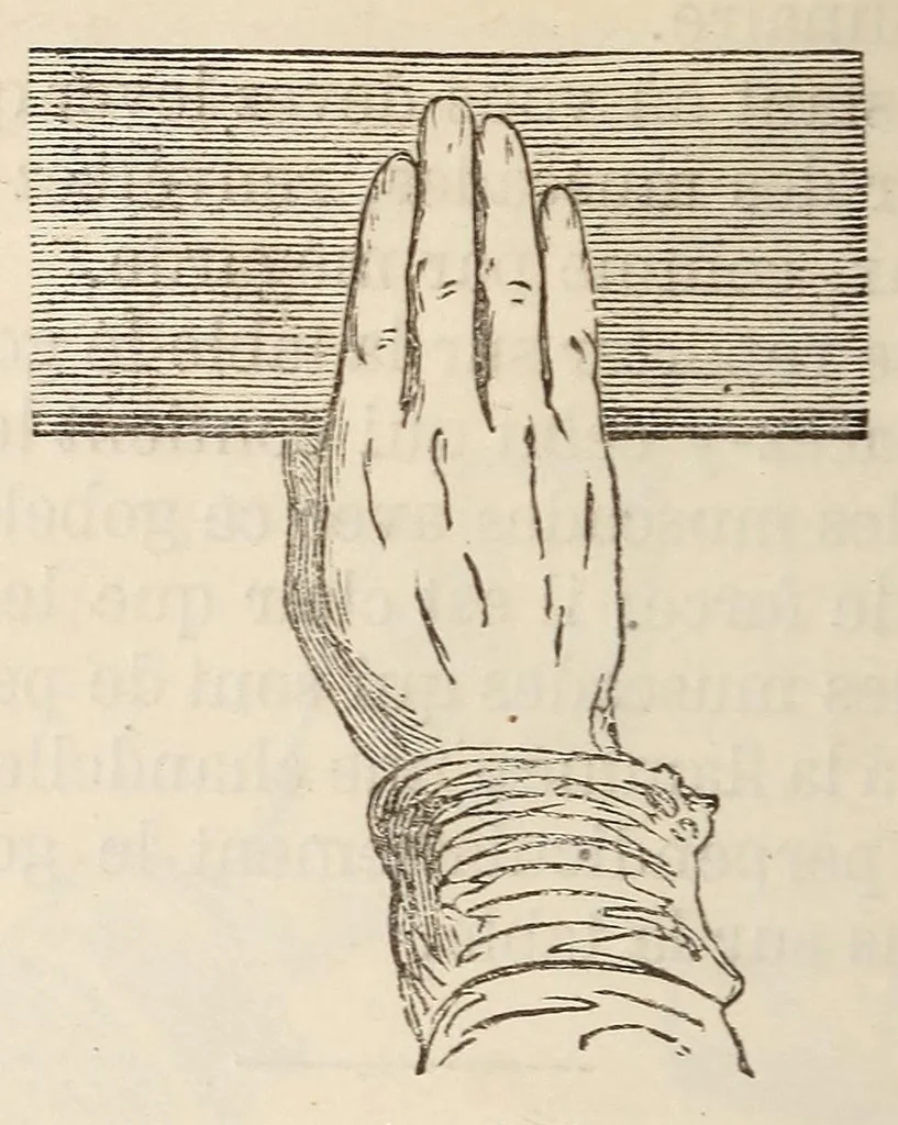 An illustration from Le magicien des salons, ou, Le diable couleur de rose : recueil nouveau de tours d'escamotage, de physique amusante, de chimie récréative, de tours de cartes, magie blanche, etc., etc., 1873, leaf 104
