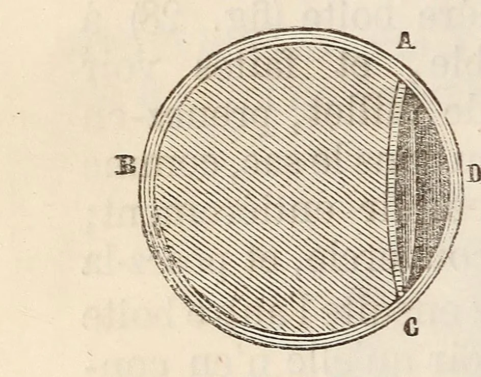 An illustration from Le magicien des salons, ou, Le diable couleur de rose : recueil nouveau de tours d'escamotage, de physique amusante, de chimie récréative, de tours de cartes, magie blanche, etc., etc., 1873, leaf 120