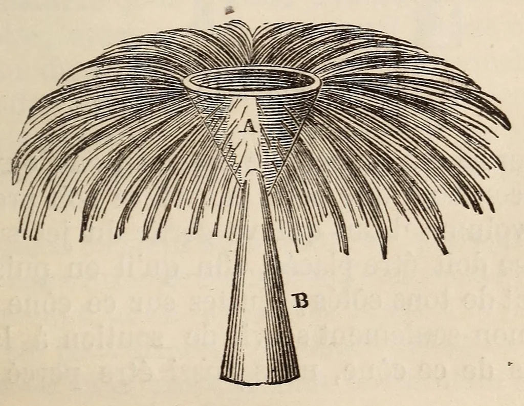 An illustration from Le magicien des salons, ou, Le diable couleur de rose : recueil nouveau de tours d'escamotage, de physique amusante, de chimie récréative, de tours de cartes, magie blanche, etc., etc., 1873, leaf 251
