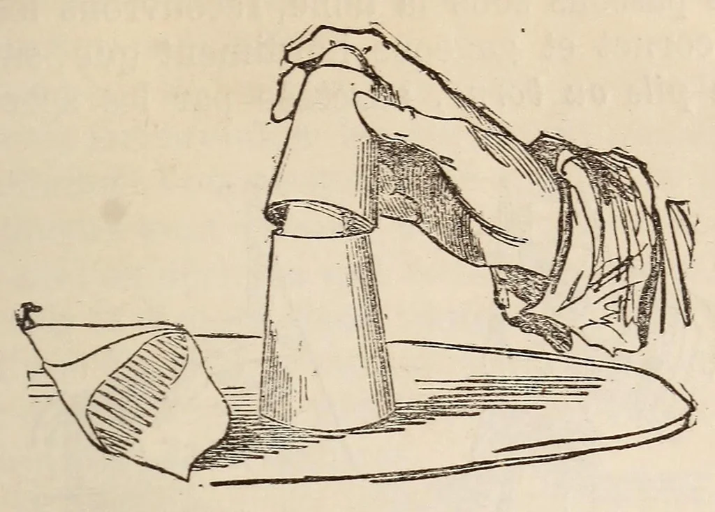 An illustration from Le magicien des salons, ou, Le diable couleur de rose : recueil nouveau de tours d'escamotage, de physique amusante, de chimie récréative, de tours de cartes, magie blanche, etc., etc., 1873, leaf 271