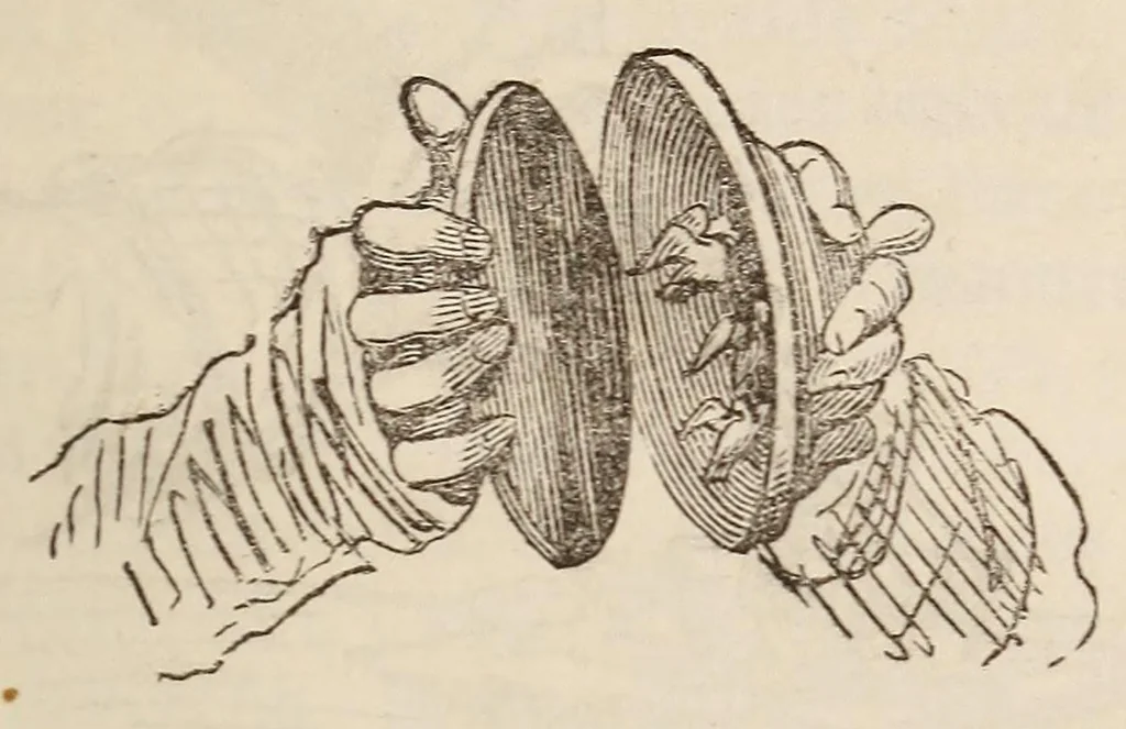 An illustration from Le magicien des salons, ou, Le diable couleur de rose : recueil nouveau de tours d'escamotage, de physique amusante, de chimie récréative, de tours de cartes, magie blanche, etc., etc., 1873, leaf 317