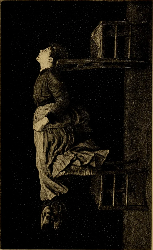 An illustration from Le "magnétisme animal" : étude critique et expérimentale sur l'hypnotisme ou sommeil nerveaux provoqué chez les sujets sains léthargie, catalepsie, somnambulisme, suggestions, etc., 1884, leaf 288
