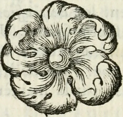 An illustration from Le manuel des artistes et des amateurs, ou, Dictionnaire historique et mythologique des emblêmes, allégories, énigmes, devises, attributs & symboles, relativement au costûme, aux murs, aux usages & aux cérémonies : contenant tous les caractères distinctifs & l'explication de chaque sujet naturel ou moral, sacré ou profane, historique ou fabuleux, dont on peut faire usage dans la poésie, la peinture, la sculpture, l'architecture, le dessin, l'ornement & la décoration, &c. : ouvrage utile aux poëtes, aux artistes & aux amateurs des beaux arts, 1770, leaf 147