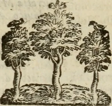 An illustration from Le marauiglie dell'arte, ouero, Le vite de gl'illustri pittori veneti, e dello stato : oue sono raccolte le opere insigni, i costumi, & i ritratti loro : con la narratione delle historie, delle fauole, e delle moralità da quelli dipinte, 1648, leaf 37