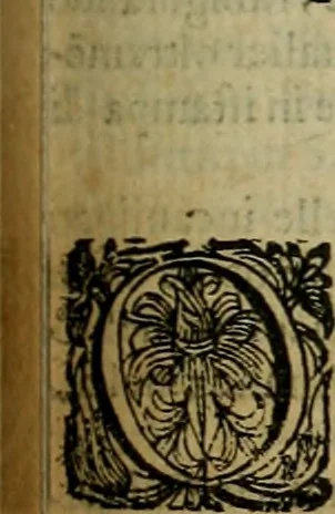 An illustration from Le marauiglie dell'arte, ouero, Le vite de gl'illustri pittori veneti, e dello stato : oue sono raccolte le opere insigni, i costumi, & i ritratti loro : con la narratione delle historie, delle fauole, e delle moralità da quelli dipinte, 1648, leaf 410
