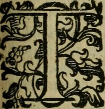 An illustration from Le marauiglie dell'arte, ouero, Le vite de gl'illustri pittori veneti, e dello stato : oue sono raccolte le opere insigni, i costumi, & i ritratti loro : con la narratione delle historie, delle fauole, e delle moralità da quelli dipinte, 1648, leaf 486