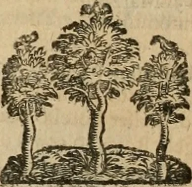 An illustration from Le marauiglie dell'arte, ouero, Le vite de gl'illustri pittori veneti, e dello stato : oue sono raccolte le opere insigni, i costumi, & i ritratti loro : con la narratione delle historie, delle fauole, e delle moralità da quelli dipinte, 1648, leaf 653