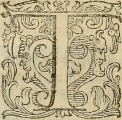 An illustration from Le marauiglie dell'arte, ouero, Le vite de gl'illustri pittori veneti, e dello stato : oue sono raccolte le opere insigni, i costumi, & i ritratti loro : con la narratione delle historie, delle fauole, e delle moralità da quelli dipinte, 1648, leaf 675