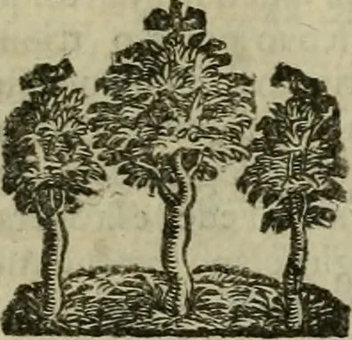 An illustration from Le marauiglie dell'arte, ouero, Le vite de gl'illustri pittori veneti, e dello stato : oue sono raccolte le opere insigni, i costumi, & i ritratti loro : con la narratione delle historie, delle fauole, e delle moralità da quelli dipinte, 1648, leaf 676