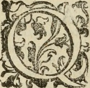 An illustration from Le marauiglie dell'arte, ouero, Le vite de gl'illustri pittori veneti, e dello stato : oue sono raccolte le opere insigni, i costumi, & i ritratti loro : con la narratione delle historie, delle fauole, e delle moralità da quelli dipinte, 1648, leaf 785