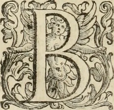 An illustration from Le marauiglie dell'arte, ouero, Le vite de gl'illustri pittori veneti, e dello stato : oue sono raccolte le opere insigni, i costumi, & i ritratti loro : con la narratione delle historie, delle fauole, e delle moralità da quelli dipinte, 1648, leaf 785