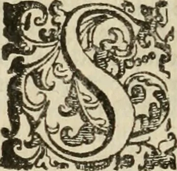 An illustration from Le marauiglie dell'arte, ouero, Le vite de gl'illustri pittori veneti, e dello stato : oue sono raccolte le opere insigni, i costumi, & i ritratti loro : con la narratione delle historie, delle fauole, e delle moralità da quelli dipinte, 1648, leaf 787