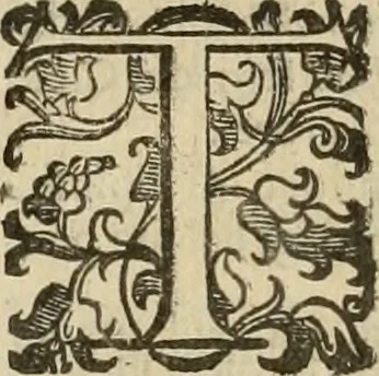 An illustration from Le marauiglie dell'arte, ouero, Le vite de gl'illustri pittori veneti, e dello stato : oue sono raccolte le opere insigni, i costumi, & i ritratti loro : con la narratione delle historie, delle fauole, e delle moralità da quelli dipinte, 1648, leaf 797