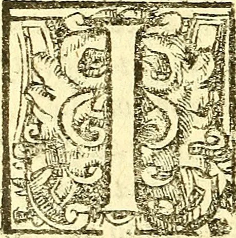 An illustration from Le medicine partenenti alle infermità delle donne, 1574, leaf 107