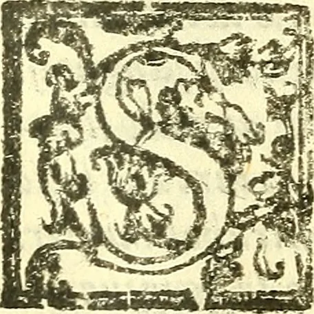 An illustration from Le medicine partenenti alle infermità delle donne, 1574, leaf 108