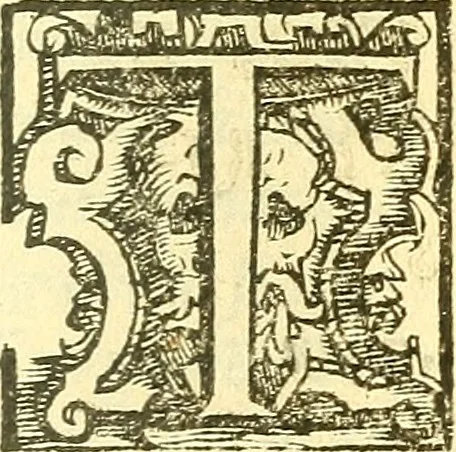 An illustration from Le medicine partenenti alle infermità delle donne, 1574, leaf 120