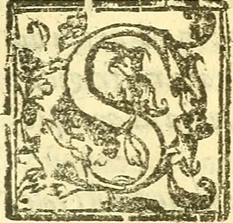 An illustration from Le medicine partenenti alle infermità delle donne, 1574, leaf 122