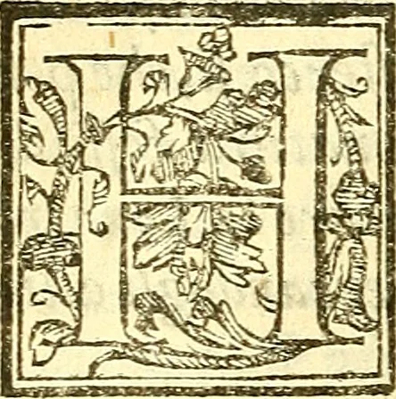 An illustration from Le medicine partenenti alle infermità delle donne, 1574, leaf 139