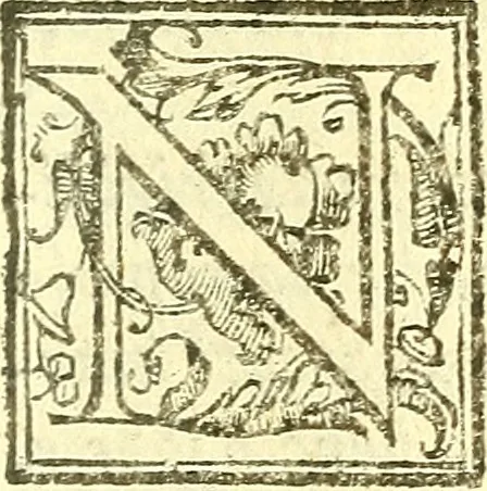 An illustration from Le medicine partenenti alle infermità delle donne, 1574, leaf 142
