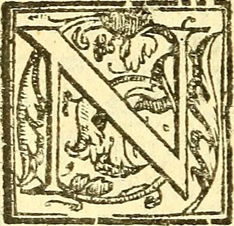 An illustration from Le medicine partenenti alle infermità delle donne, 1574, leaf 145