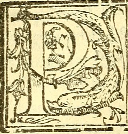 An illustration from Le medicine partenenti alle infermità delle donne, 1574, leaf 159