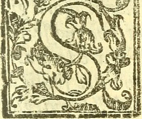 An illustration from Le medicine partenenti alle infermità delle donne, 1574, leaf 160
