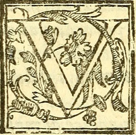 An illustration from Le medicine partenenti alle infermità delle donne, 1574, leaf 193