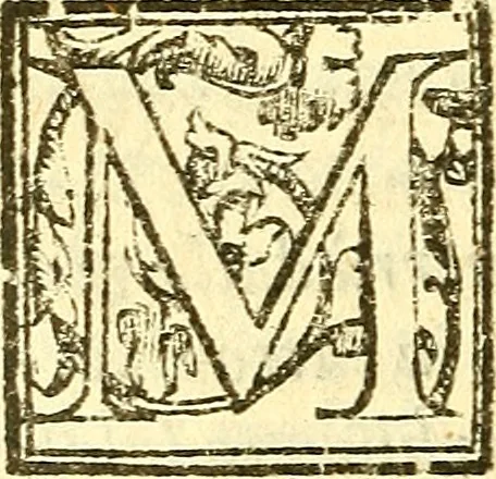 An illustration from Le medicine partenenti alle infermità delle donne, 1574, leaf 199