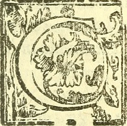 An illustration from Le medicine partenenti alle infermità delle donne, 1574, leaf 202