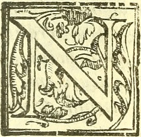 An illustration from Le medicine partenenti alle infermità delle donne, 1574, leaf 206