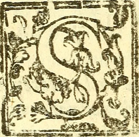 An illustration from Le medicine partenenti alle infermità delle donne, 1574, leaf 207