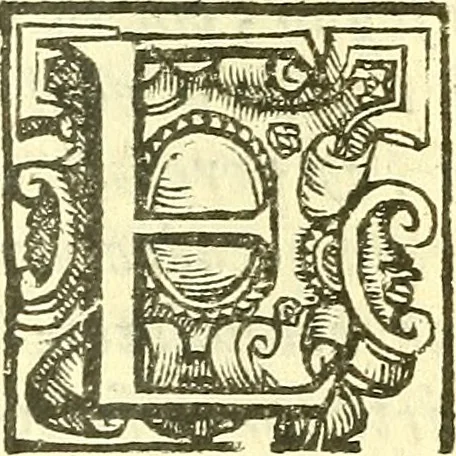 An illustration from Le medicine partenenti alle infermità delle donne, 1574, leaf 208