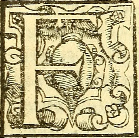 An illustration from Le medicine partenenti alle infermità delle donne, 1574, leaf 25
