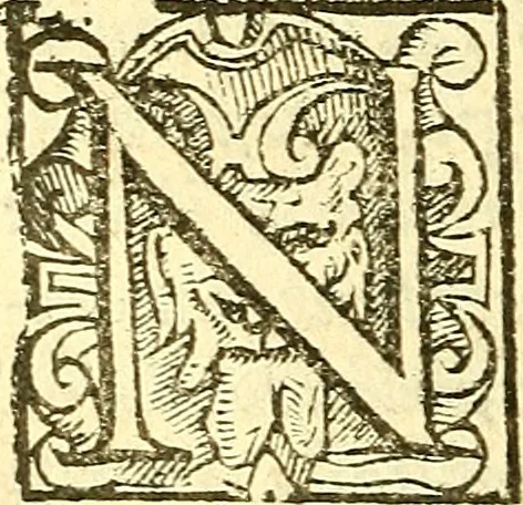 An illustration from Le medicine partenenti alle infermità delle donne, 1574, leaf 263