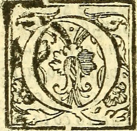 An illustration from Le medicine partenenti alle infermità delle donne, 1574, leaf 303
