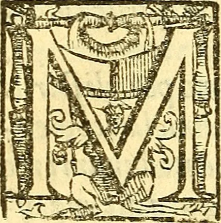 An illustration from Le medicine partenenti alle infermità delle donne, 1574, leaf 31