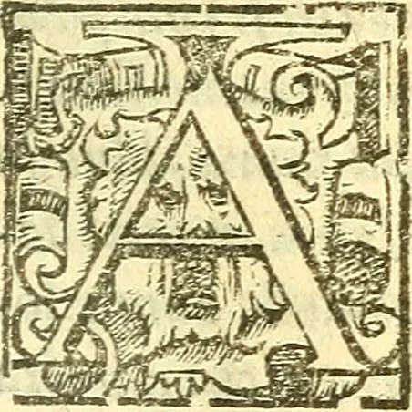 An illustration from Le medicine partenenti alle infermità delle donne, 1574, leaf 328