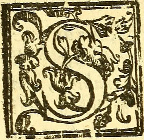 An illustration from Le medicine partenenti alle infermità delle donne, 1574, leaf 33