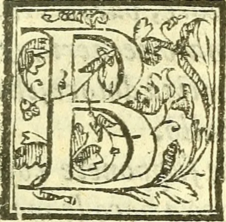 An illustration from Le medicine partenenti alle infermità delle donne, 1574, leaf 354
