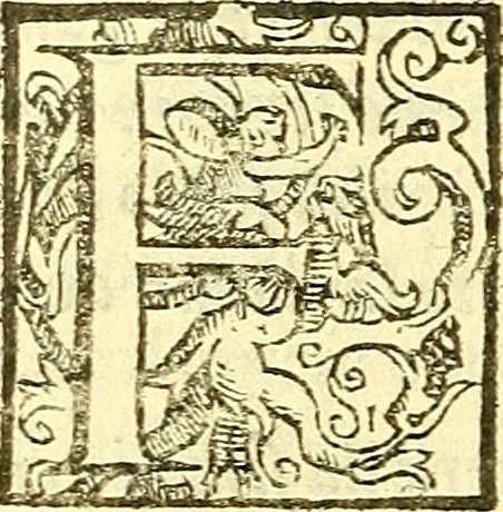 An illustration from Le medicine partenenti alle infermità delle donne, 1574, leaf 369