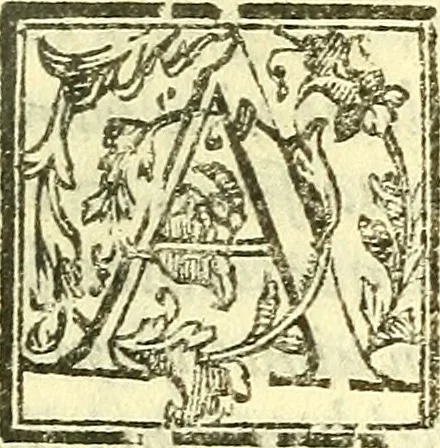 An illustration from Le medicine partenenti alle infermità delle donne, 1574, leaf 396
