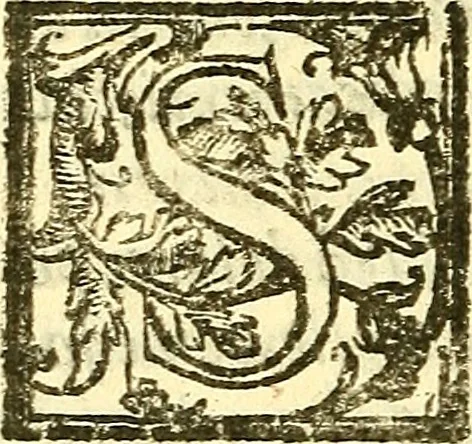 An illustration from Le medicine partenenti alle infermità delle donne, 1574, leaf 401