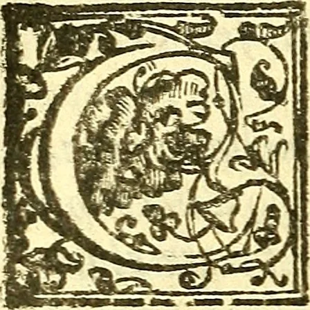 An illustration from Le medicine partenenti alle infermità delle donne, 1574, leaf 405